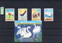 fauna o'zbekiston aves