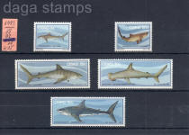 ciskei sudafrica sellos fauna marina