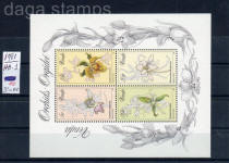 sudafrica sellos fauna 03